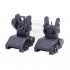 RAPID ACQUISITION PRECISION SIGHTS R.A.P.S