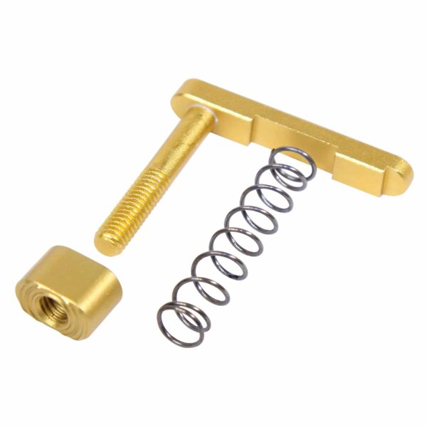 a gold screw and spring on a white background